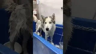 Как вам результат?✨ 