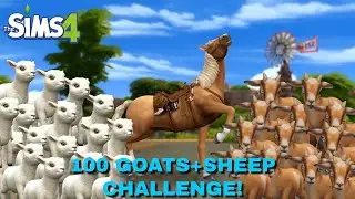 The Sims 4  (Horse Ranch)  100 Goat & Sheep On Lot Challenge!???