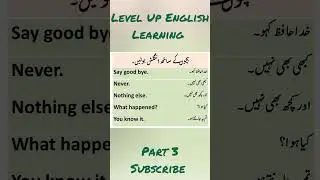 Most Useful English Sentences 