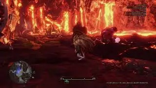 bonk