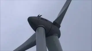 Enercon E-101