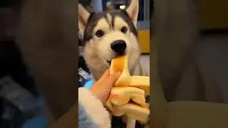 A story about dividing bread 😁😋