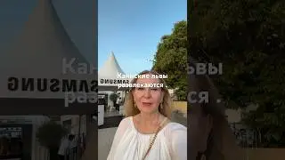 Каннские Львы развлекаются.