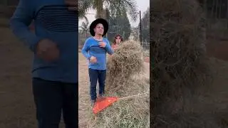 Nem na chácara esse Paulo para de ficar olhando.