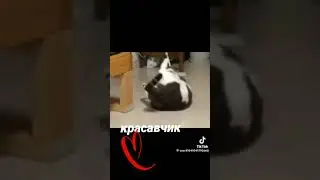 Пресс мешает 😂