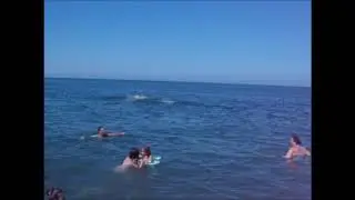 :)))