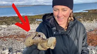 DAS gibt es am Ende der Welt -  Varanger Nationalpark