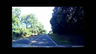 Deer truck collision 5 29 23