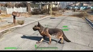 Fallout 4 баги с FPS