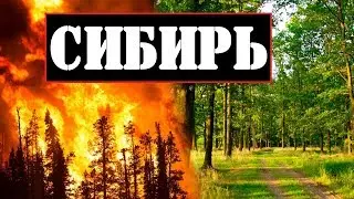 ПОЖАРЫ в СИБИРИ // ПОСЛЕДСТВИЯ