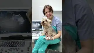 Люблю свою профессию безумно❤️💔