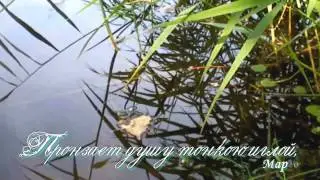 Прикосновение тишины