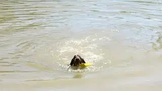 2020 Swimming Ralphie Finn Rey
