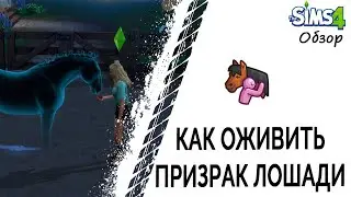 Как оживить призрак лошади в Симс 4