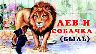 Лев и собачка — (Быль)