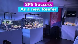 SPS Success as a new Reefer