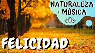 Música para TRABAJAR activo y ALEGRE - Instrumental