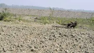 Noyadalan Field Visit