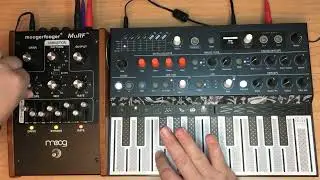 Arturia Microfreak thru Moog MuRF