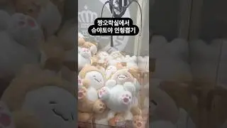 짱오락실에서 슈야토야 인형뽑기 #인형뽑기 #짱오락실 #뽑기 #슈야  #뽑기뽀끼 #뽑기꿀팁 #광주오락실 #오락실 #광주데이트 #clawmachine  #cranegame