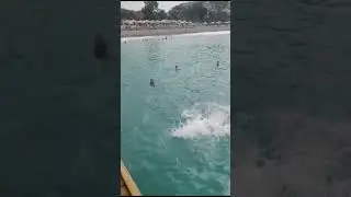 Четко зашел в воду! ;)