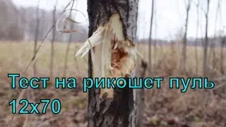 Test bullets to ricochet. 12x70. Poleva 3, 2, Glanaudi,;Test bullets to ricochet. 12x70