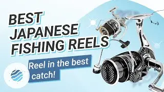 Reel Talk: Decoding Japan's Fishing Reel Enigma