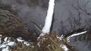 Ловля налима осенью на закидушку (донку), видео rybachil.ru