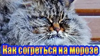 Три способа, как согреться на морозе