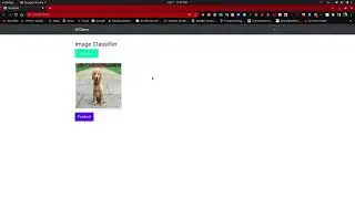 Classification Web App