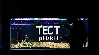 ВОДА В АКВАРИУМЕ ПОСЛЕ ПОДАЧИ СО2