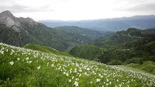 Sonido de Viento Silbando en las Montañas - Sound of Wind Whistling in the Mountains