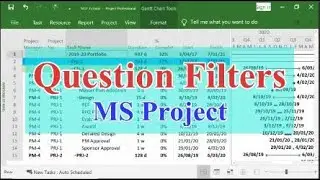 Pop-up(Question) Filter in Microsoft Project