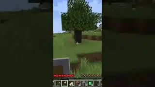 bacrooms 