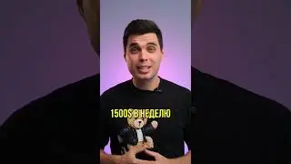 Цена на видео в Дубае! Сколько стоит снять видео? Часть 2.