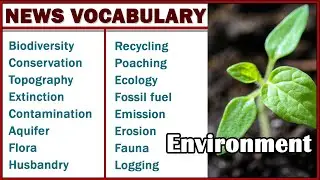20 Advanced Vocabulary Form the Newspaper | Environment
