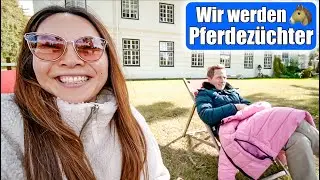Wir werden Pferde Züchter 🐎 Besuch auf dem Gestüt! 1 Tag Ponyhof! Mamiseelen