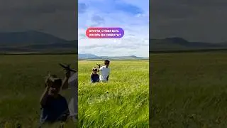 Дай 1000