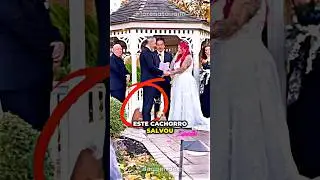 Este Cachorro Salvou Um Casamento 
