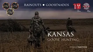 GOOSE HUNTING in Kansas for Specks, Snows, Blues and Canadas