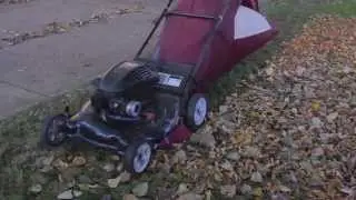 Big Leaf Bag Demonstration
