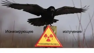 Битва Умов, Science Slam Ekaterinburg, Виктор Ягодин, Радионуклиды