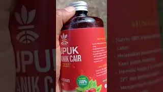 PUPUK ORGANIK CAIR UNTUK CABAI #sorts