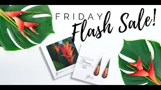 Friday Flash Sale with Foterra Jewelry