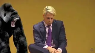 Milo doesn't think you can rock in America