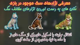 last day on earth dog and puppy لست دی اون ارت نژاد سگ هت و انتقال مهارت ها