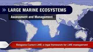 Week 6: Ms Prudence Galega on the Guinea Current Large Marine Ecosystem (GCLME)