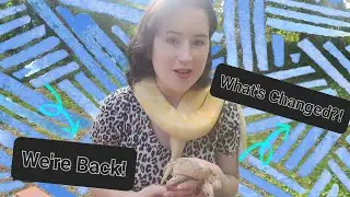 We're Back! What's Changed?! 🐍✨️