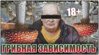 Луч света в тёмном царстве.