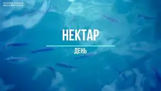 НЕКТАР - День